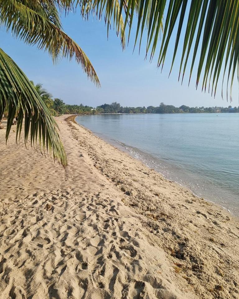 Caribbean Beach Cabanas Placencia Екстер'єр фото